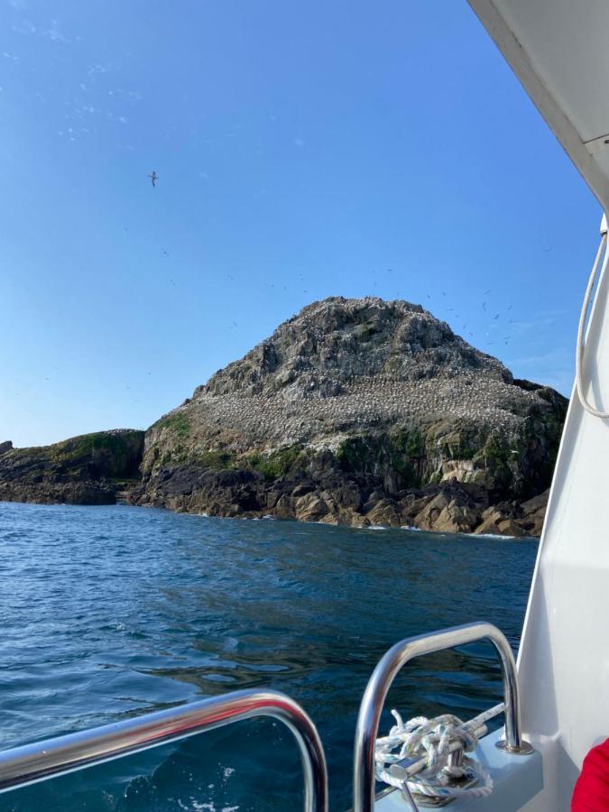 Gites Le Rucher De Kerillis Plouguiel Kültér fotó