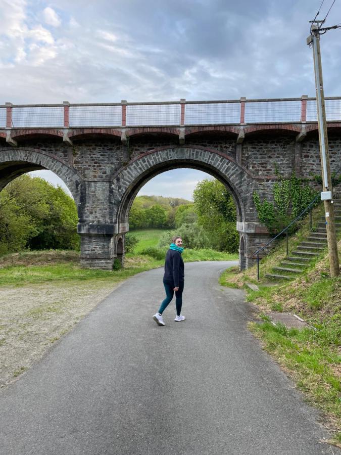 Gites Le Rucher De Kerillis Plouguiel Kültér fotó